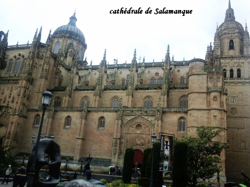69 cathédrale Salamanque