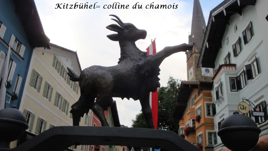 41-chamois-symbole-de-kitzbuhel