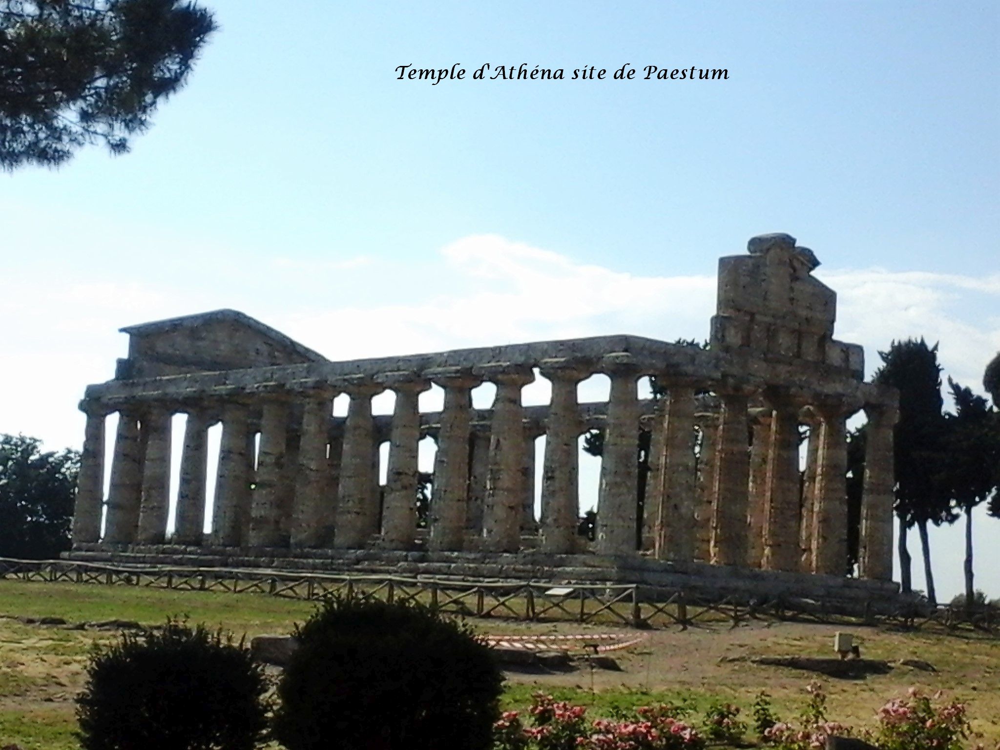 26 Paestum temple Athéna