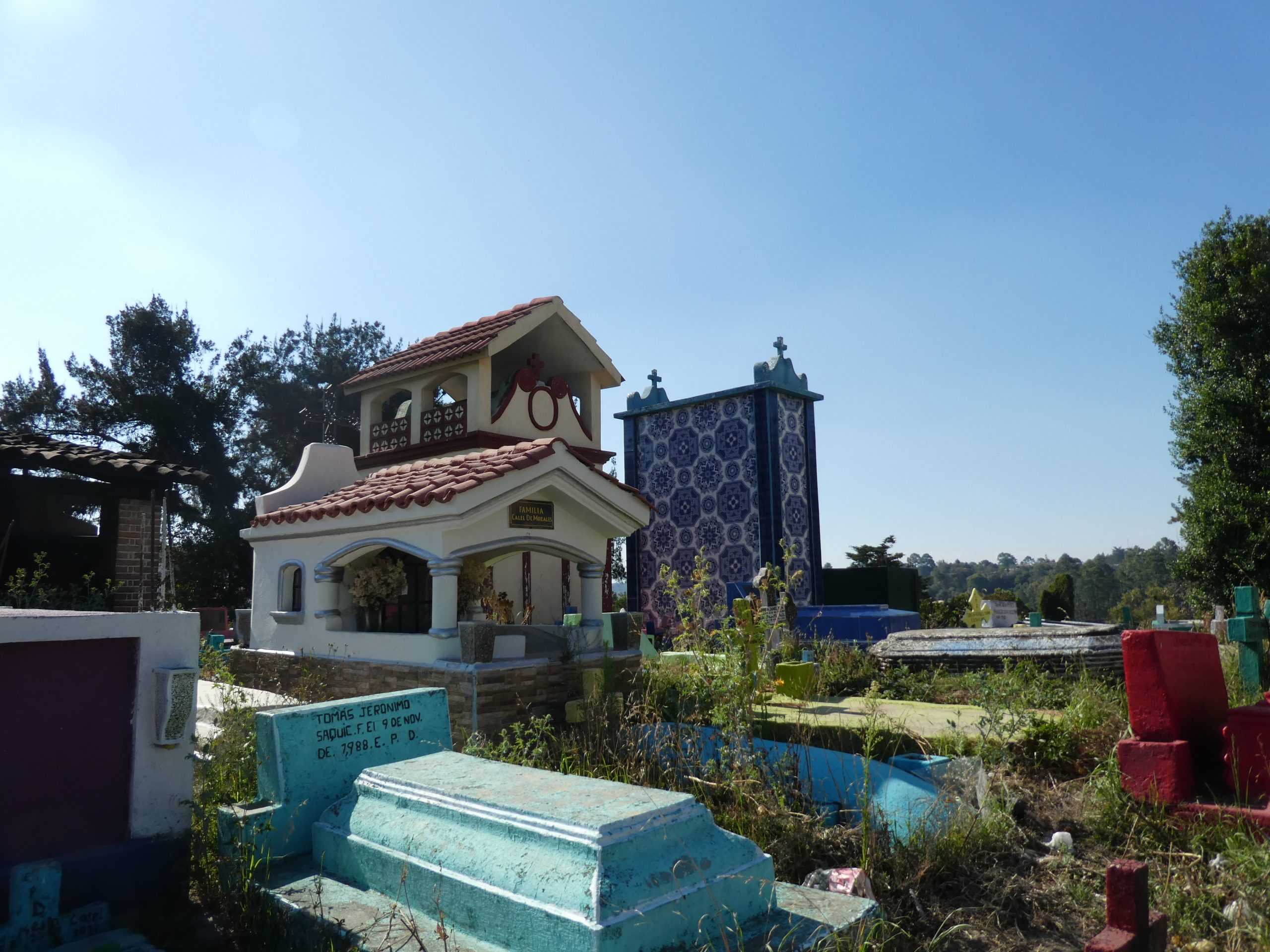 P1150199